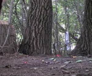 Plassende vrouwen in het bos die stiekem gefilmd worden